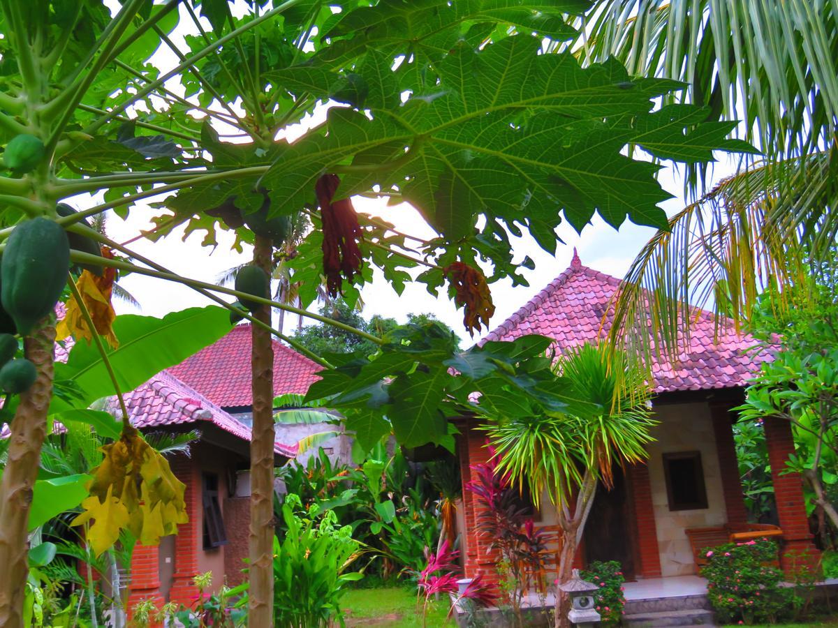 Suka Sari Cottages Pemuteran Exterior foto
