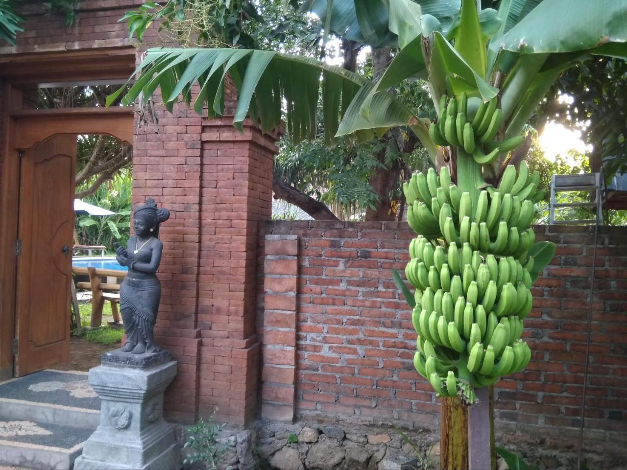 Suka Sari Cottages Pemuteran Exterior foto